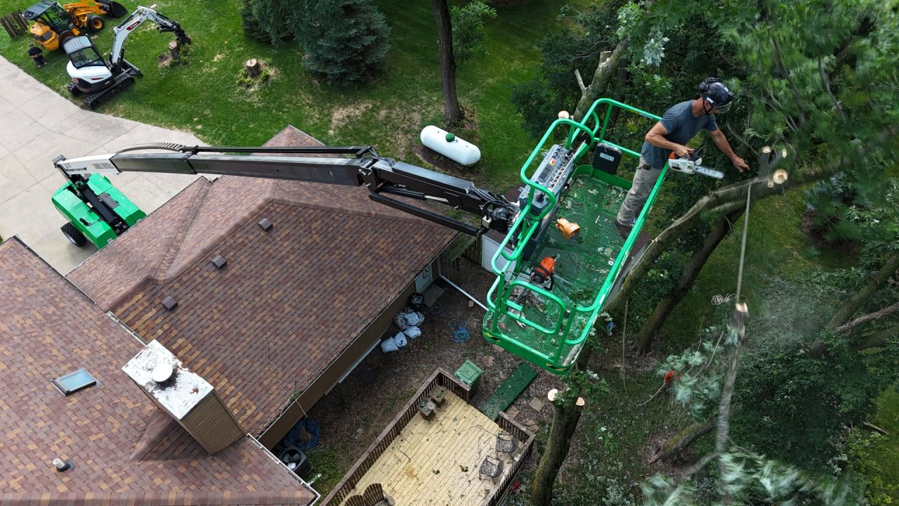 arborist1