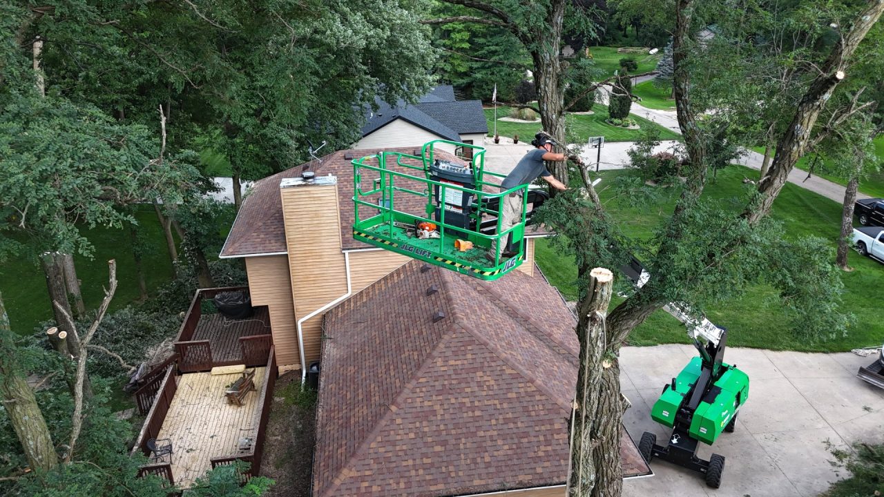 arborist3